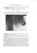 giornale/TSA0036961/1934/unico/00000497