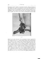 giornale/TSA0036961/1934/unico/00000500