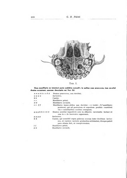 Archivum chirurgiae oris