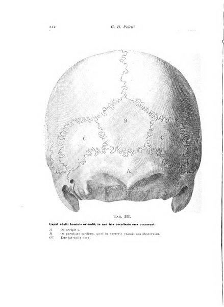 Archivum chirurgiae oris