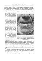 giornale/TSA0036961/1935/unico/00000391