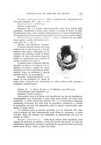 giornale/TSA0036961/1935/unico/00000487