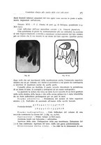 giornale/TSA0036961/1935/unico/00000511