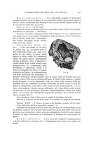 giornale/TSA0036961/1935/unico/00000525