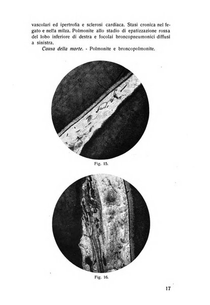 Rassegna trimestrale di odontoiatria