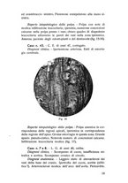 giornale/TSA0046866/1937/unico/00000025