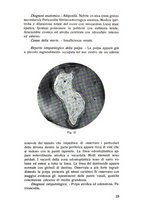 giornale/TSA0046866/1937/unico/00000029