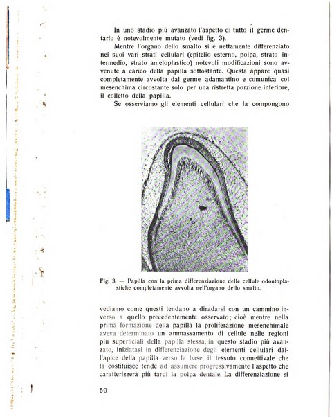 Rassegna trimestrale di odontoiatria