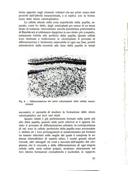 Rassegna trimestrale di odontoiatria