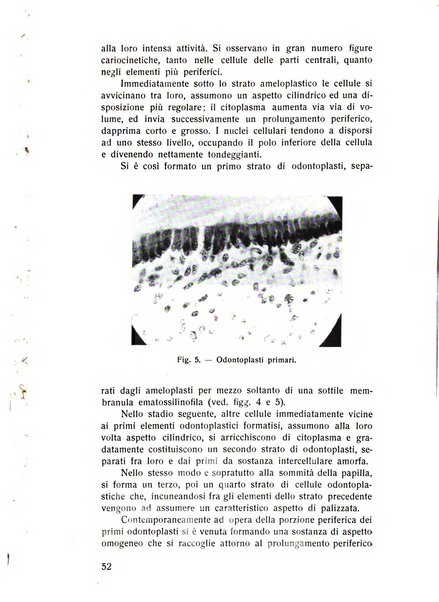 Rassegna trimestrale di odontoiatria