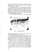 giornale/TSA0046866/1937/unico/00000058