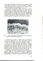 giornale/TSA0046866/1937/unico/00000061