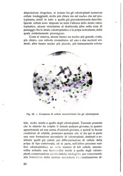 Rassegna trimestrale di odontoiatria