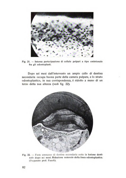 Rassegna trimestrale di odontoiatria