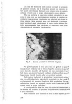 giornale/TSA0046866/1937/unico/00000268