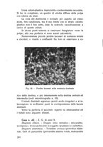 giornale/TSA0046866/1937/unico/00000290