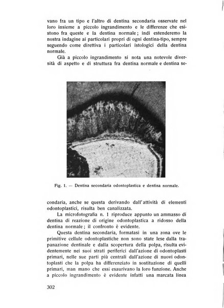 Rassegna trimestrale di odontoiatria