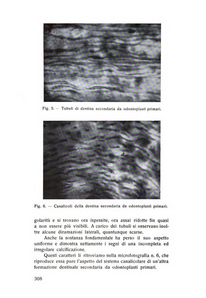 Rassegna trimestrale di odontoiatria