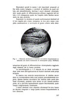 giornale/TSA0046866/1937/unico/00000327