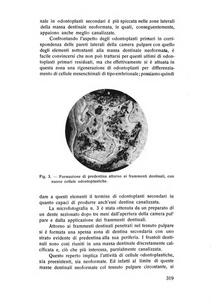 Rassegna trimestrale di odontoiatria