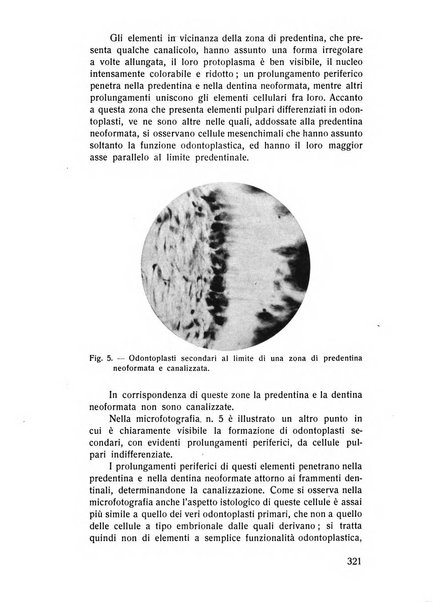 Rassegna trimestrale di odontoiatria