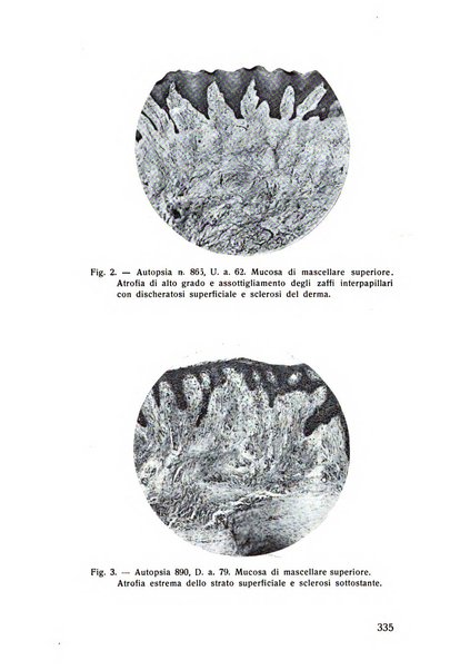 Rassegna trimestrale di odontoiatria