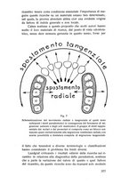 giornale/TSA0046866/1937/unico/00000387