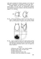 giornale/TSA0046866/1937/unico/00000533