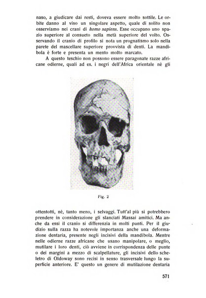 Rassegna trimestrale di odontoiatria