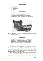 giornale/TSA0046866/1937/unico/00000589