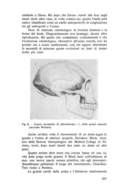 Rassegna trimestrale di odontoiatria