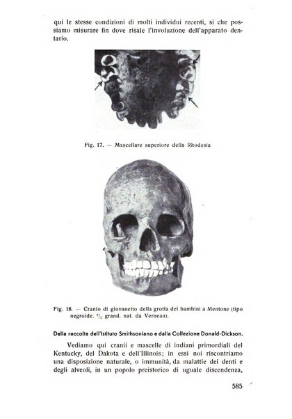 Rassegna trimestrale di odontoiatria