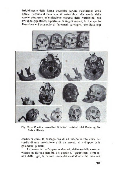 Rassegna trimestrale di odontoiatria