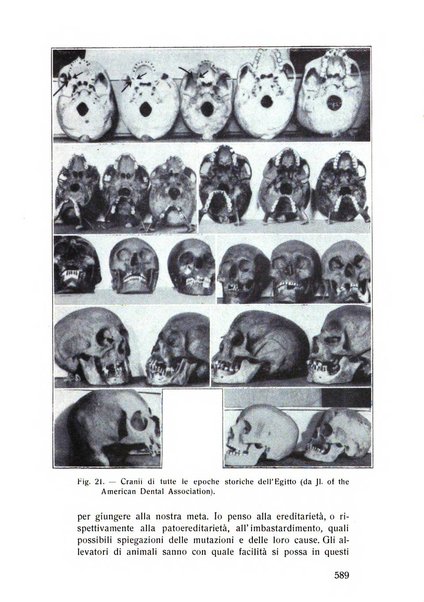 Rassegna trimestrale di odontoiatria