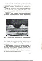 giornale/TSA0046866/1938/unico/00000037