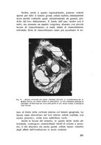 giornale/TSA0046866/1938/unico/00000399