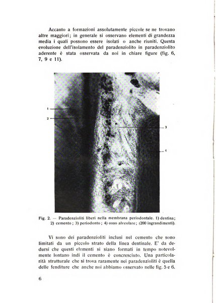 Rassegna trimestrale di odontoiatria