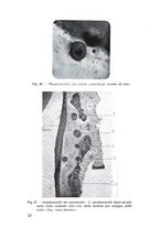 giornale/TSA0046866/1939/unico/00000038