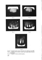 giornale/TSA0046866/1939/unico/00000146