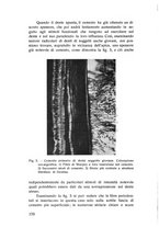 giornale/TSA0046866/1939/unico/00000184