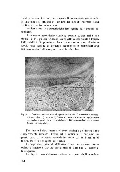 Rassegna trimestrale di odontoiatria