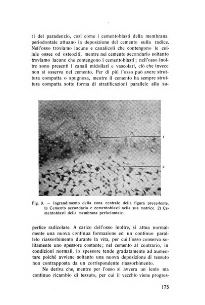 Rassegna trimestrale di odontoiatria