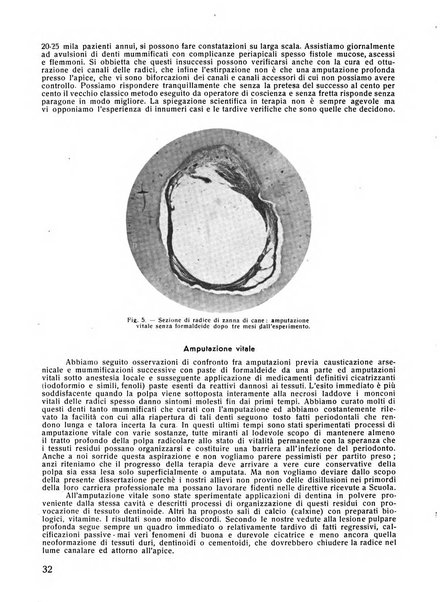 Rassegna trimestrale di odontoiatria