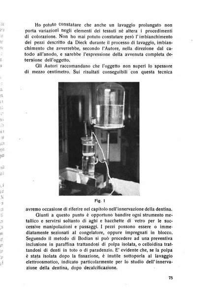 Rassegna trimestrale di odontoiatria