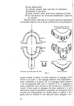 giornale/TSA0046866/1946/unico/00000114