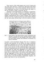 giornale/TSA0046866/1946/unico/00000263