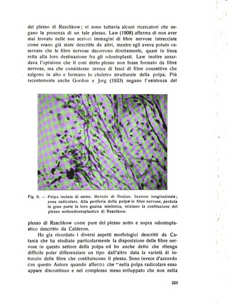 Rassegna trimestrale di odontoiatria