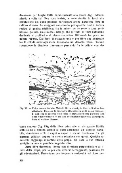 Rassegna trimestrale di odontoiatria