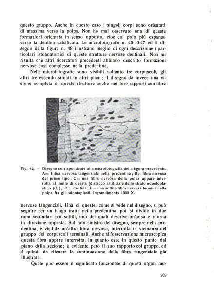 Rassegna trimestrale di odontoiatria