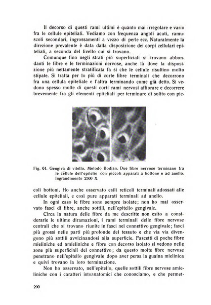 Rassegna trimestrale di odontoiatria